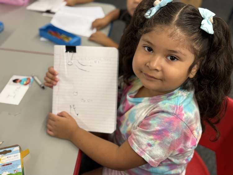 students writing in journal 