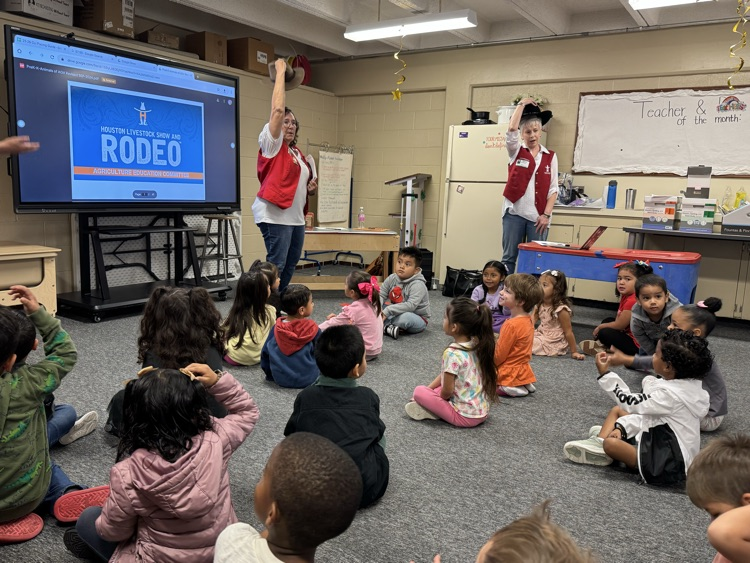 Houston rodeo people talking about animals