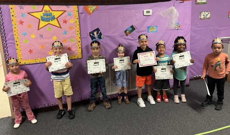 tiny cats of the month