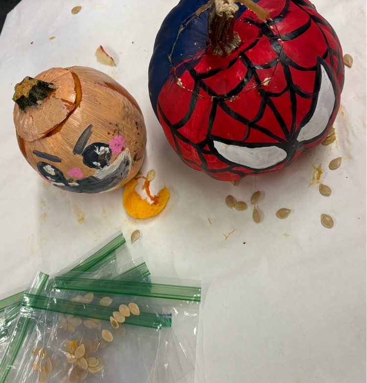 the pumpkins were opened and scooped out