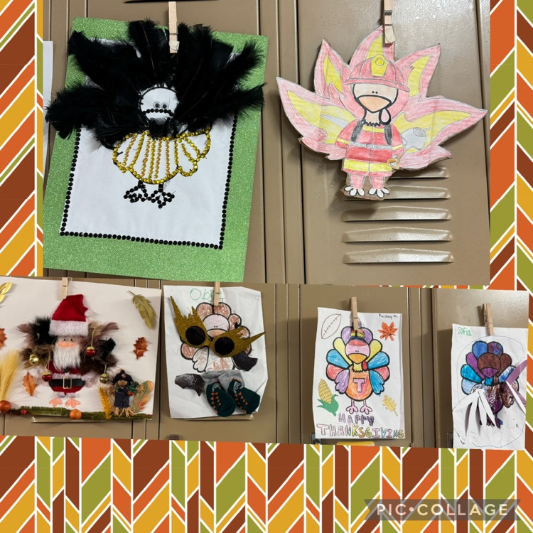 turkey’s in disguise