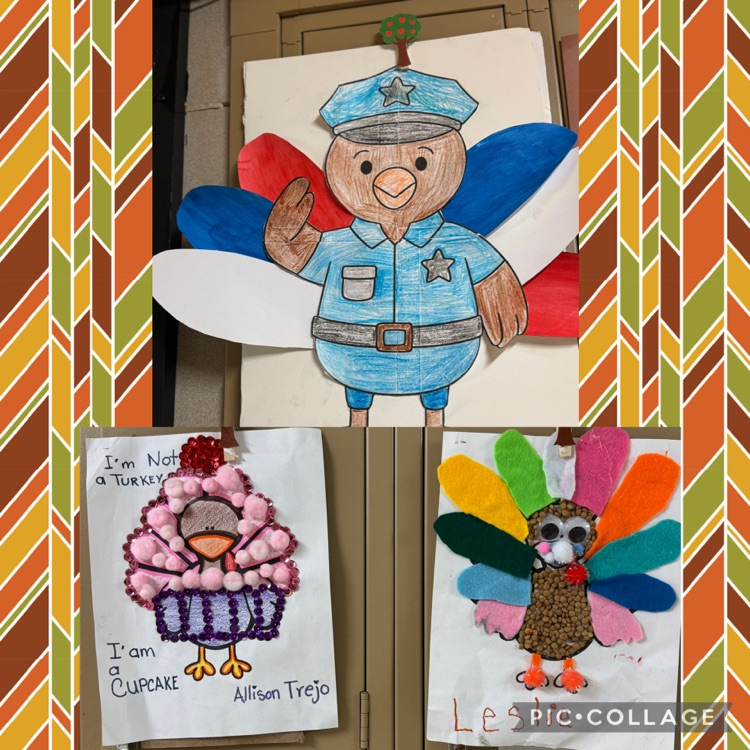 turkey’s in disguise