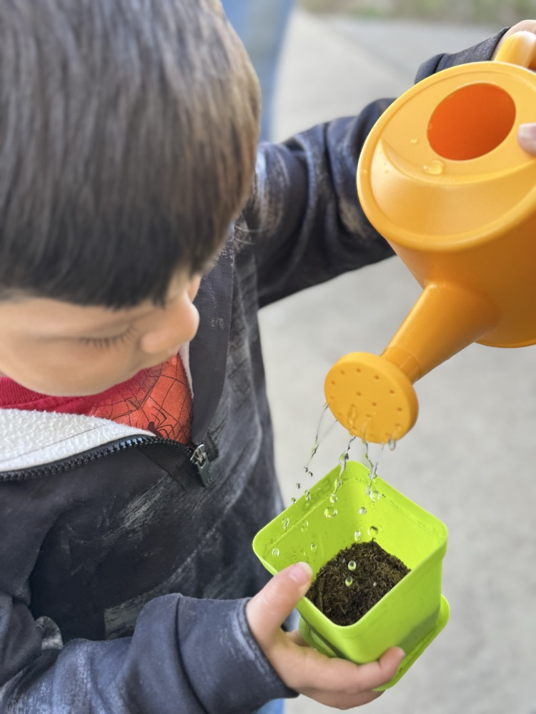 students planting seed