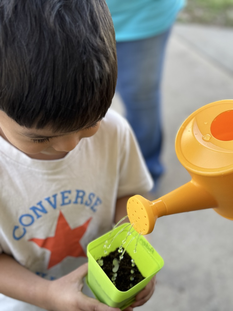 students planting seed