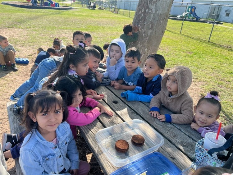 students planting seed