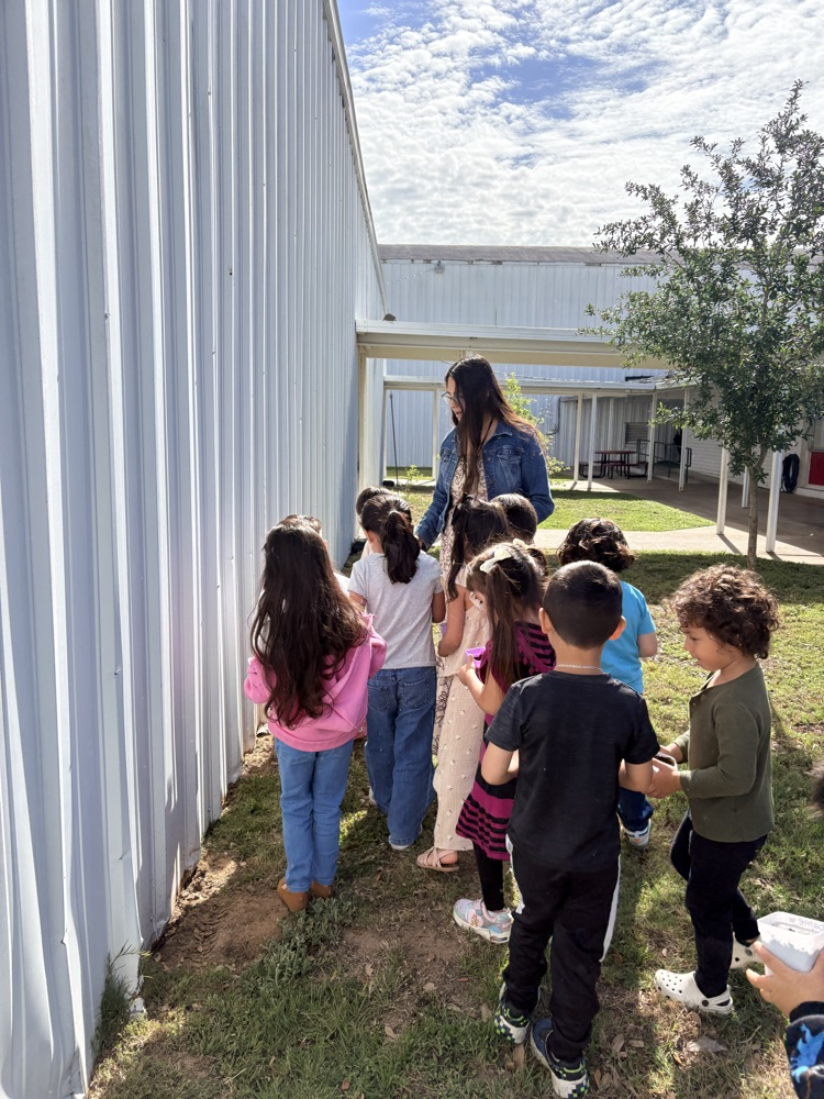 students planting seed