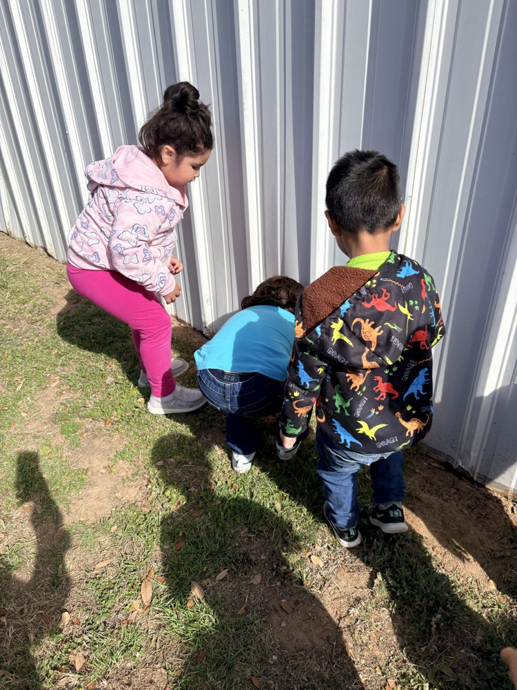 students planting seed