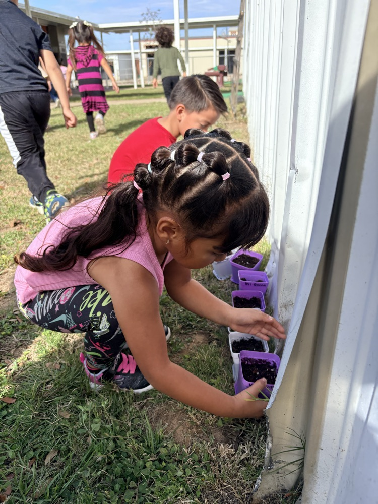 students planting seed
