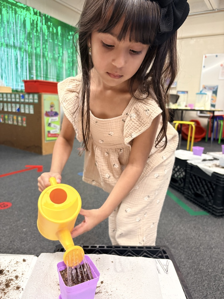 students planting seed