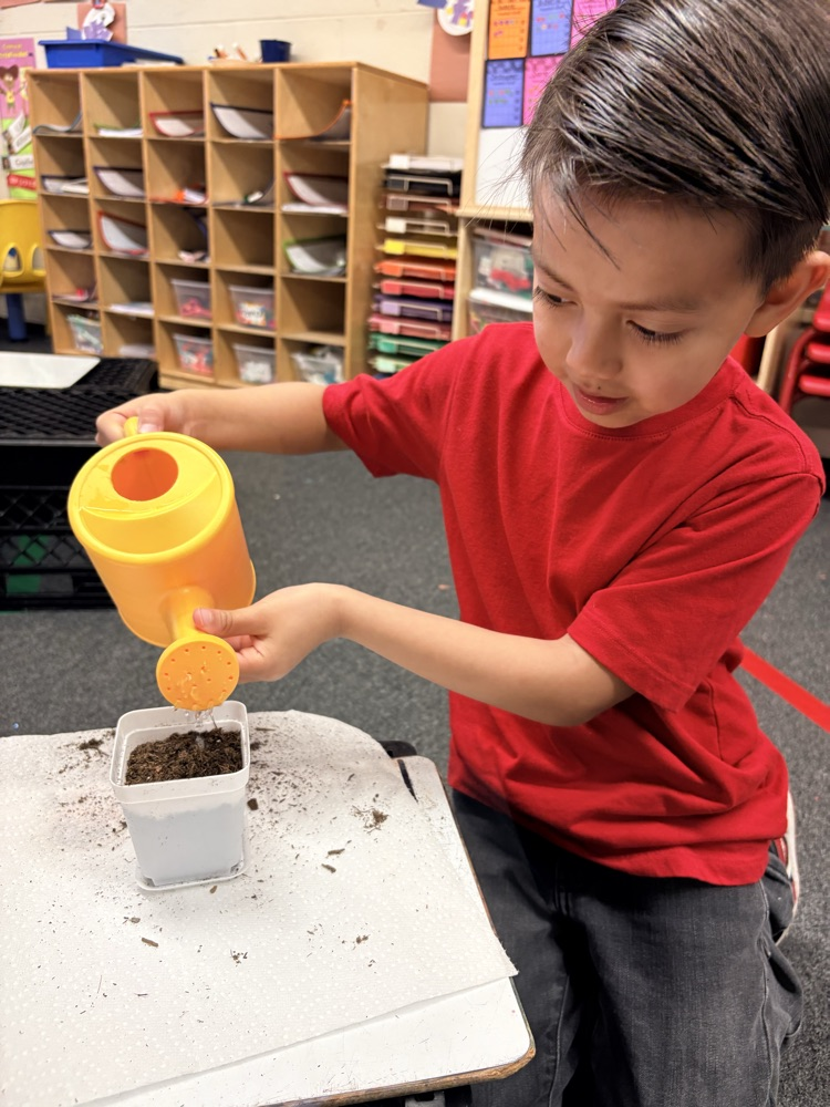 students planting seed