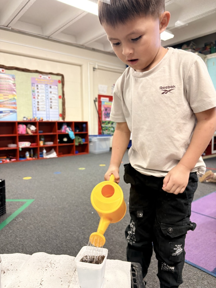 students planting seed