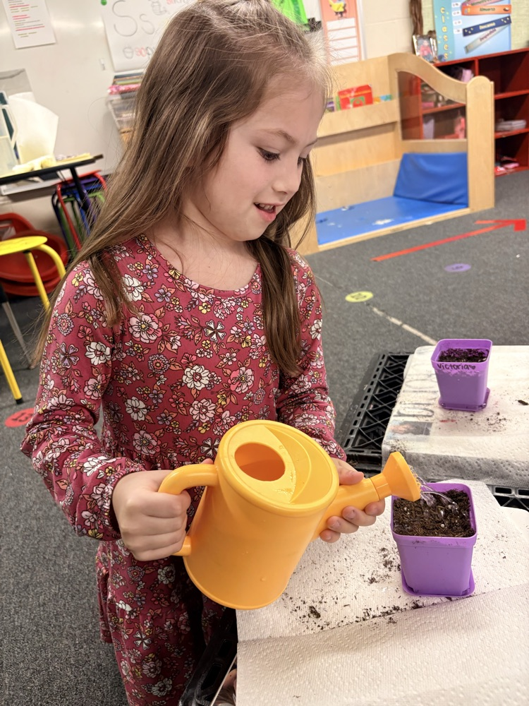 students planting seed