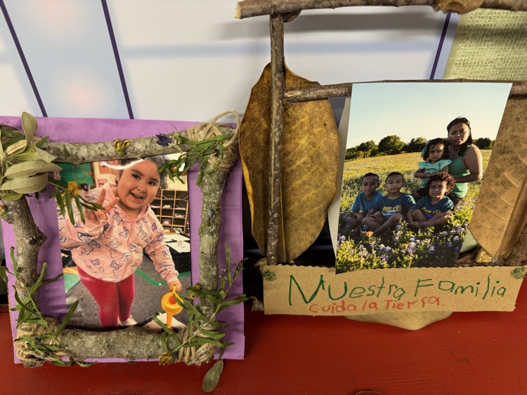 nature frames