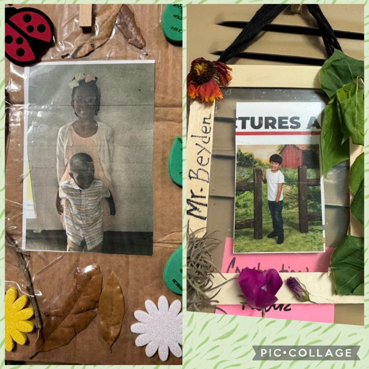 nature frames