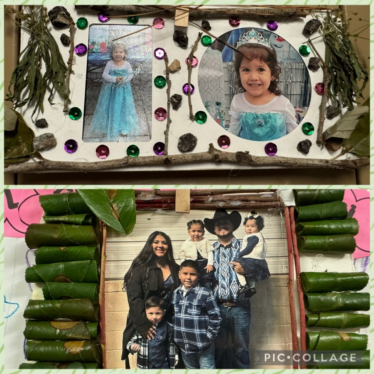 nature frames
