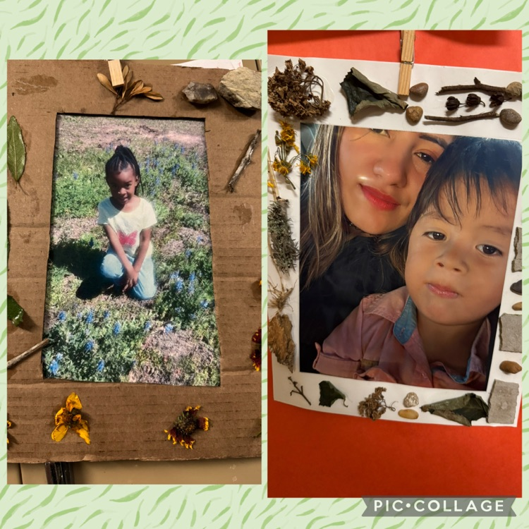 nature frames