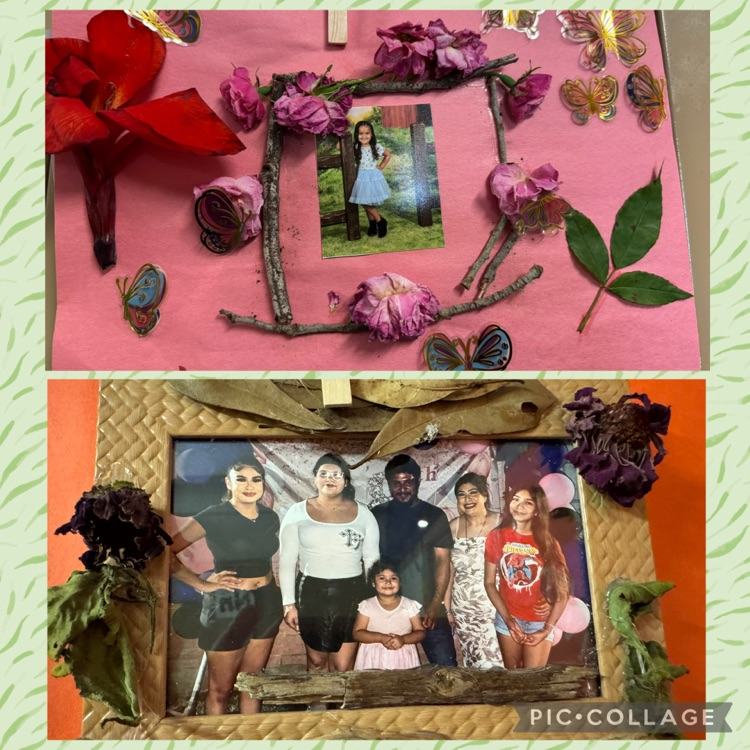 nature frames
