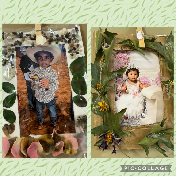 nature frames