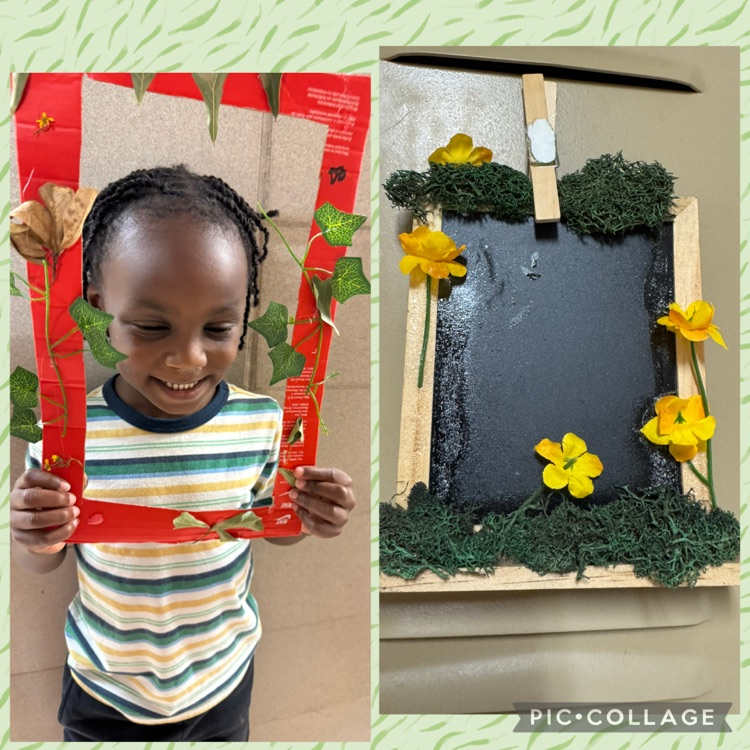 nature frames