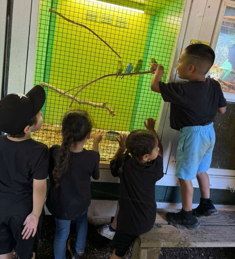 students at the farm
