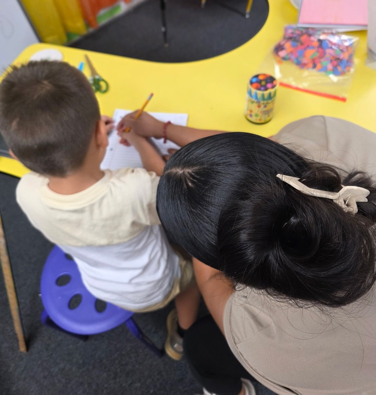 students learning