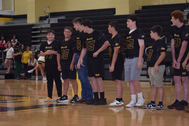 meet the lions 