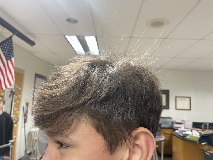hair