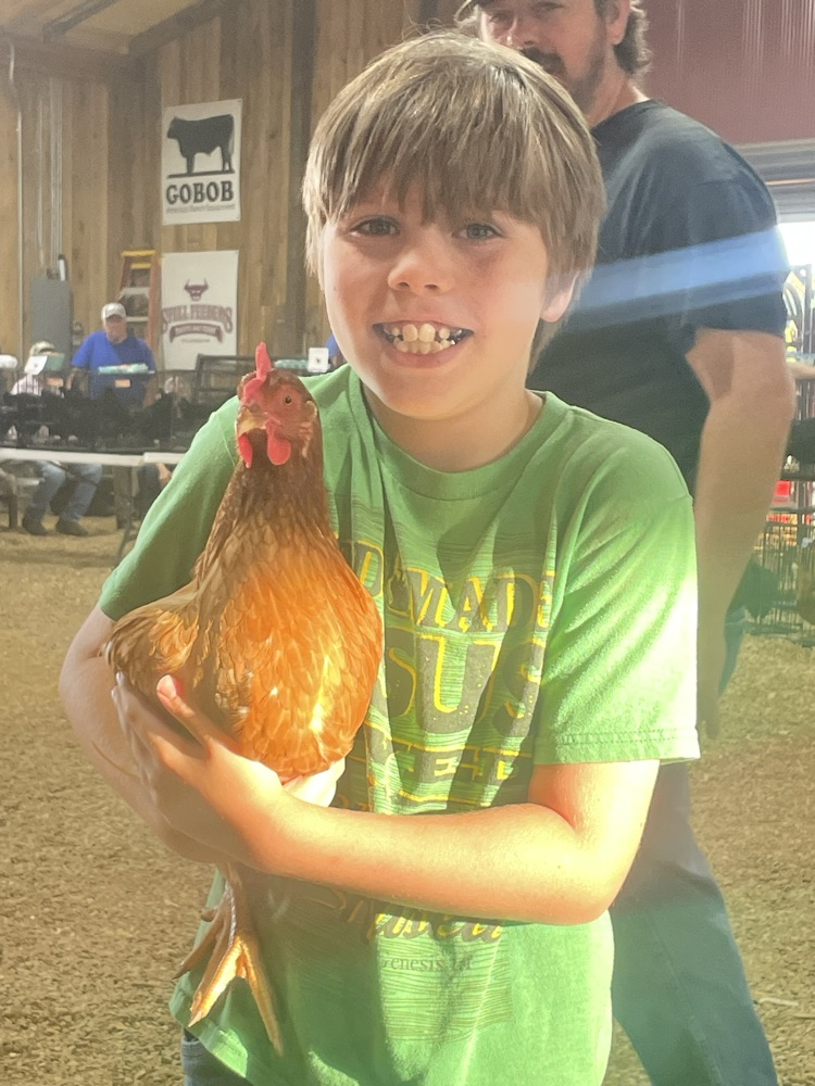 Chicken