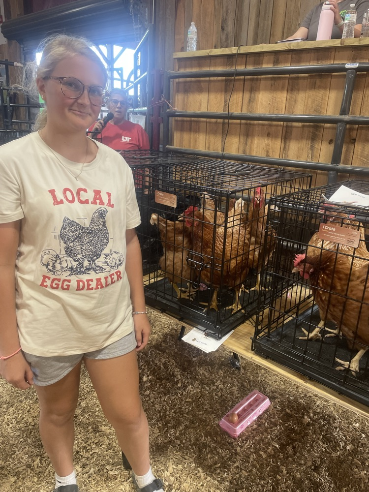 Chicken 