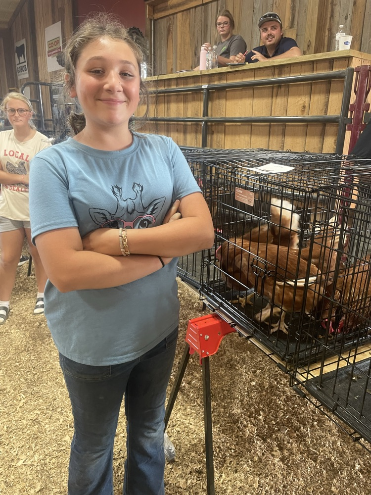 Chicken