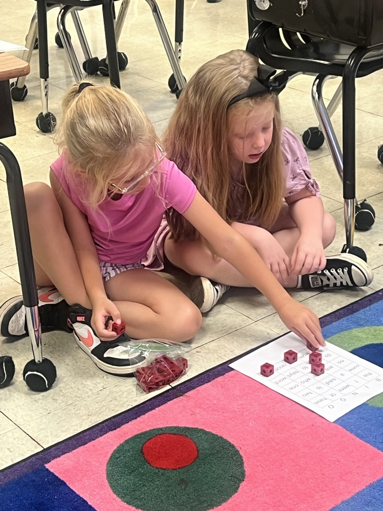 tricky word bingo