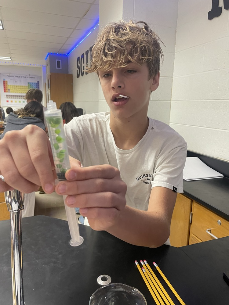 Photosynthesis