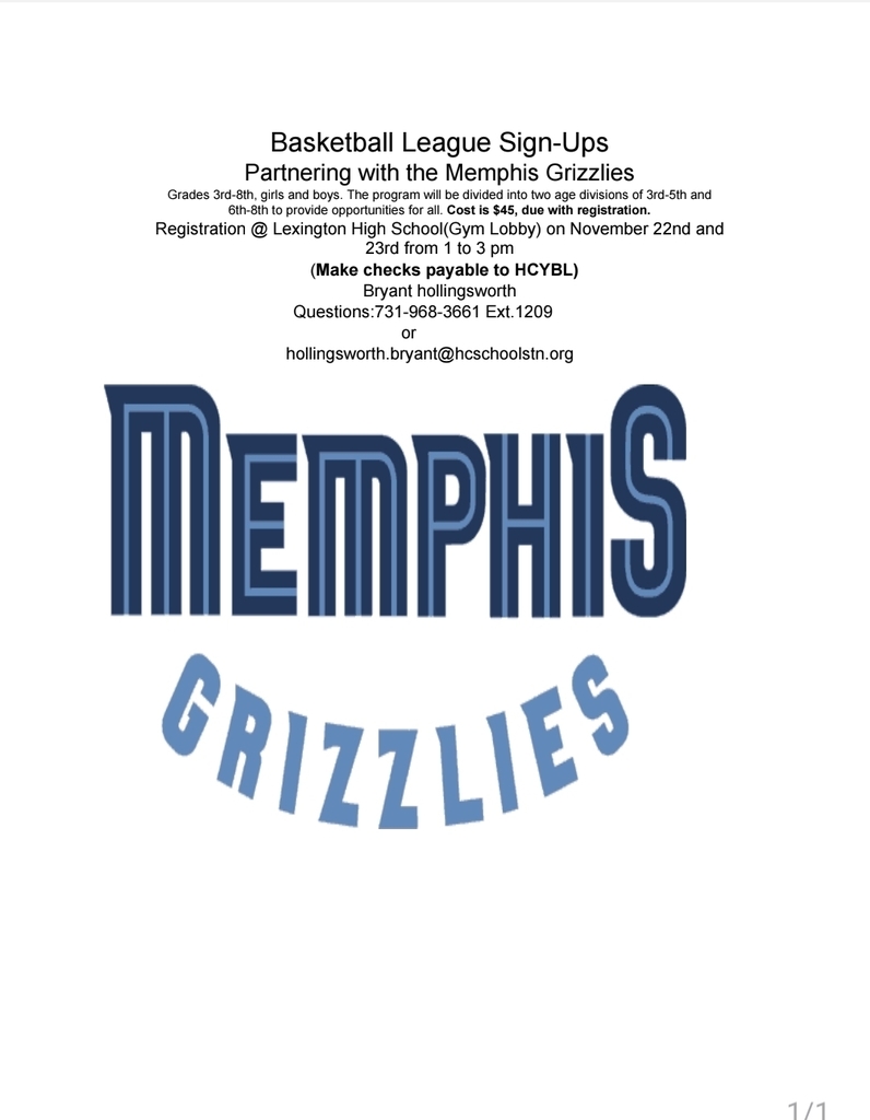 Grizzly Basketball League