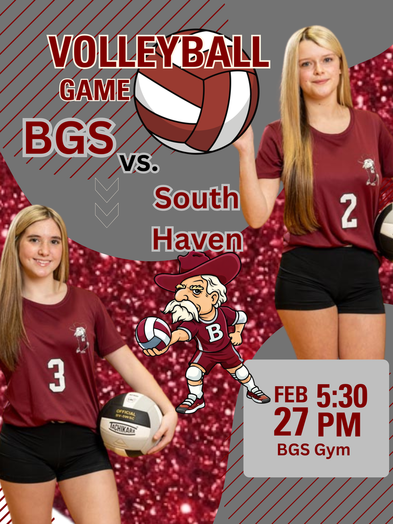 South Haven Volleyball game