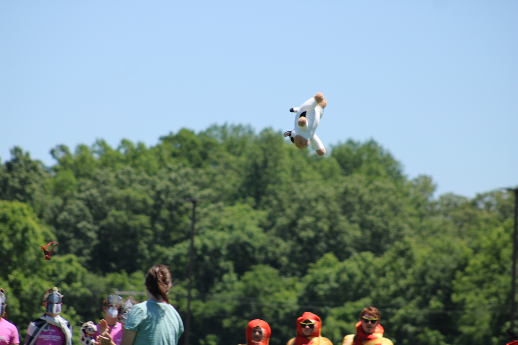 Fun Day on the Hill