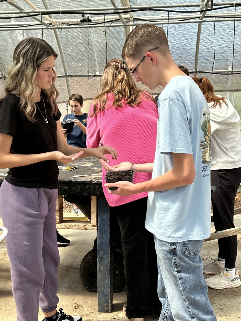 Greenhouse