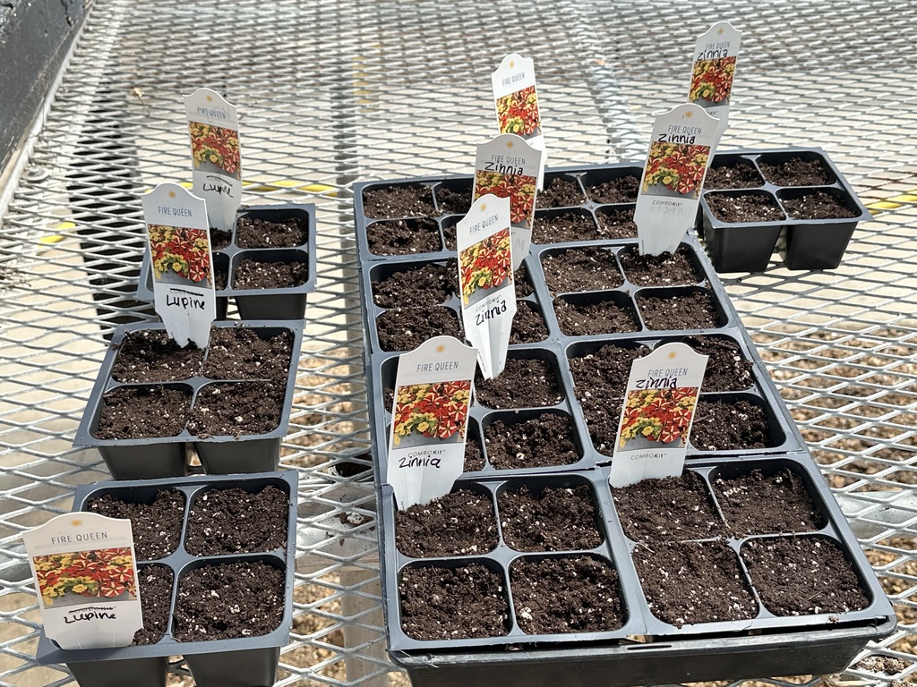 Greenhouse