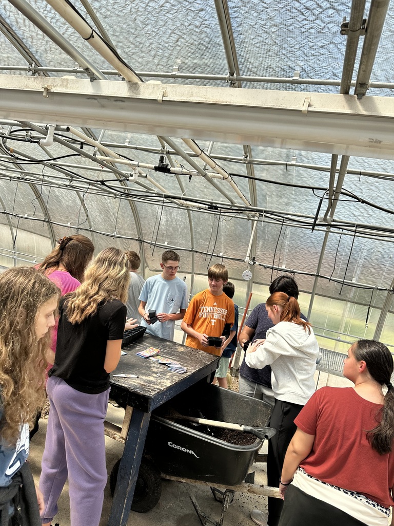 Greenhouse