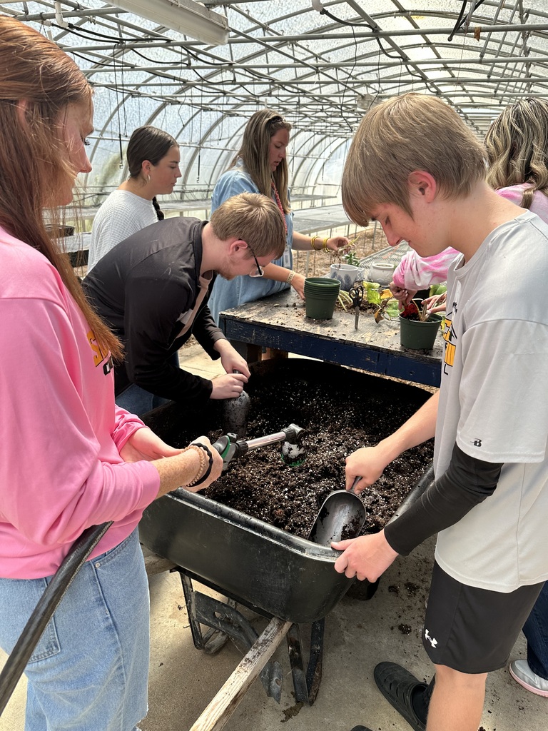 Greenhouse pictures