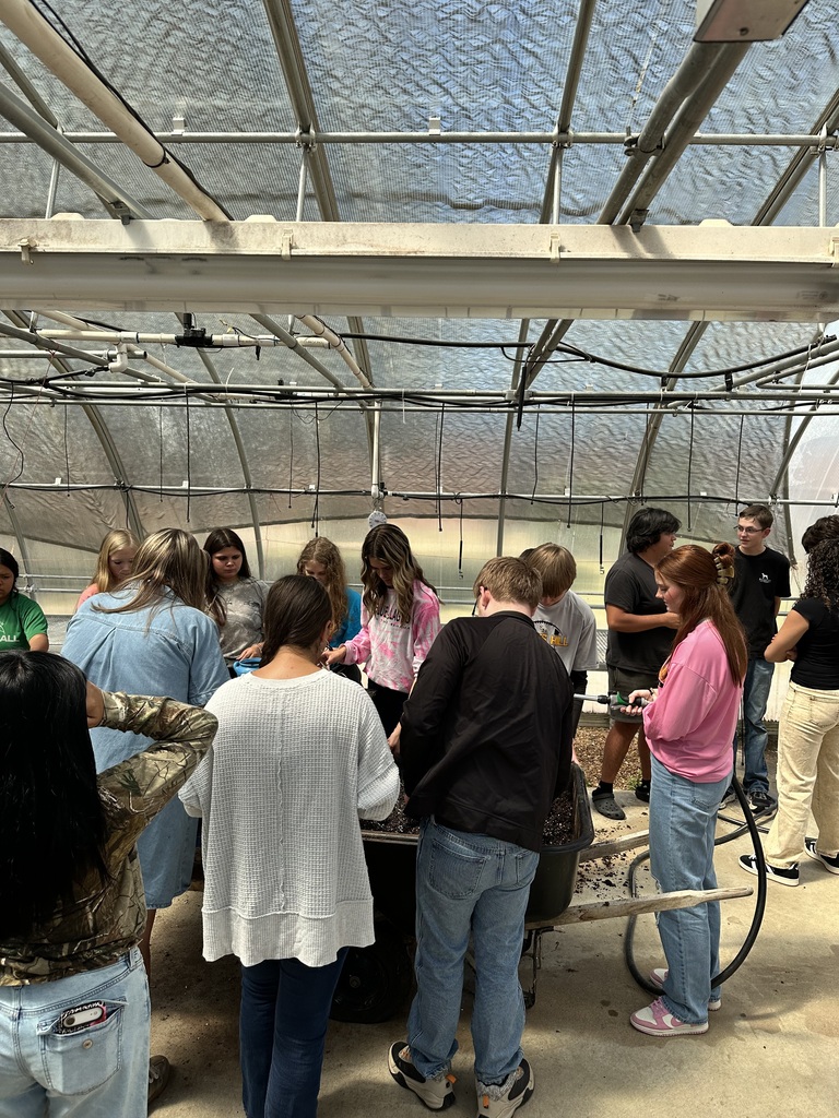 Greenhouse