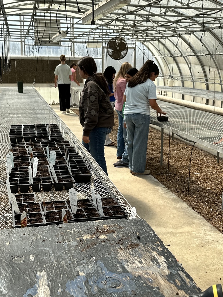 Greenhouse