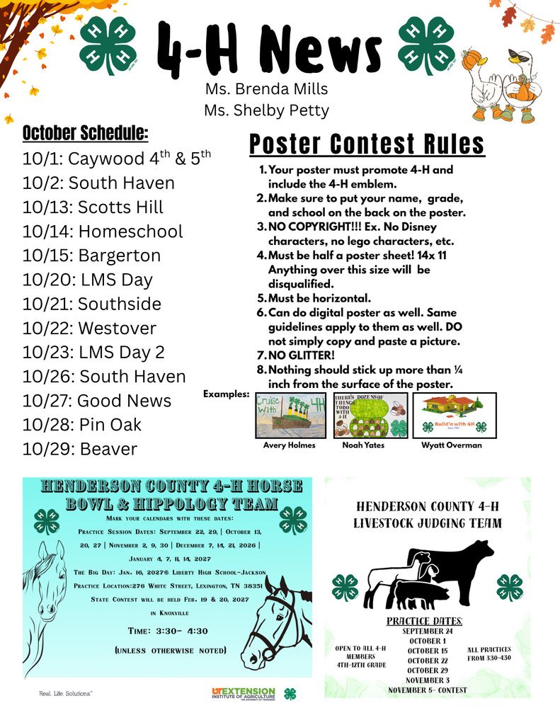 4h newsletter