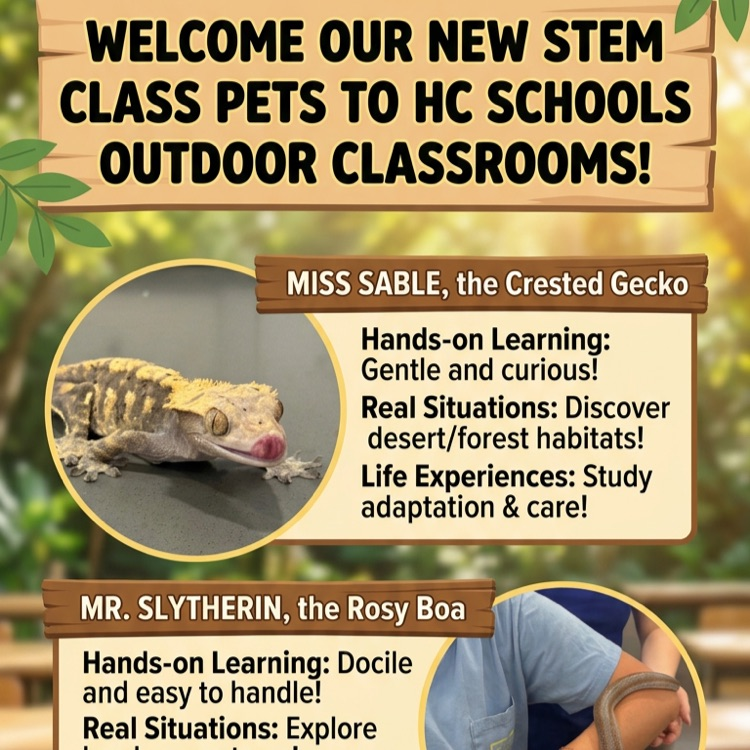 STEM