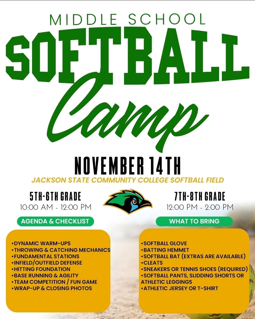 Free Softball Camp