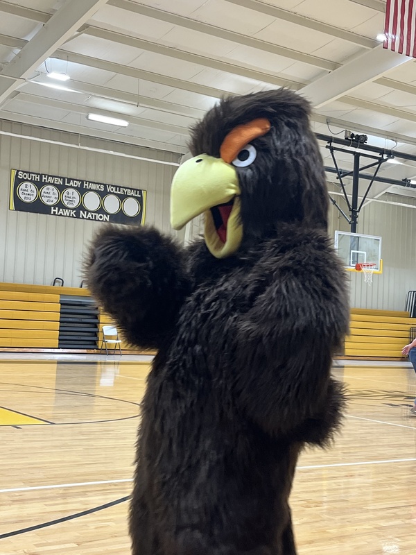 hawk