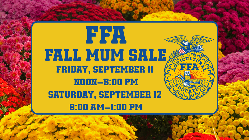 FFA Mum Sale