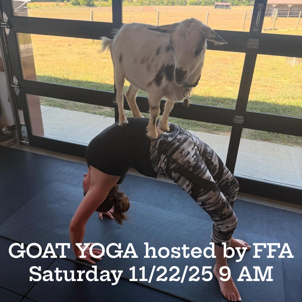 FFA Goat Yoga