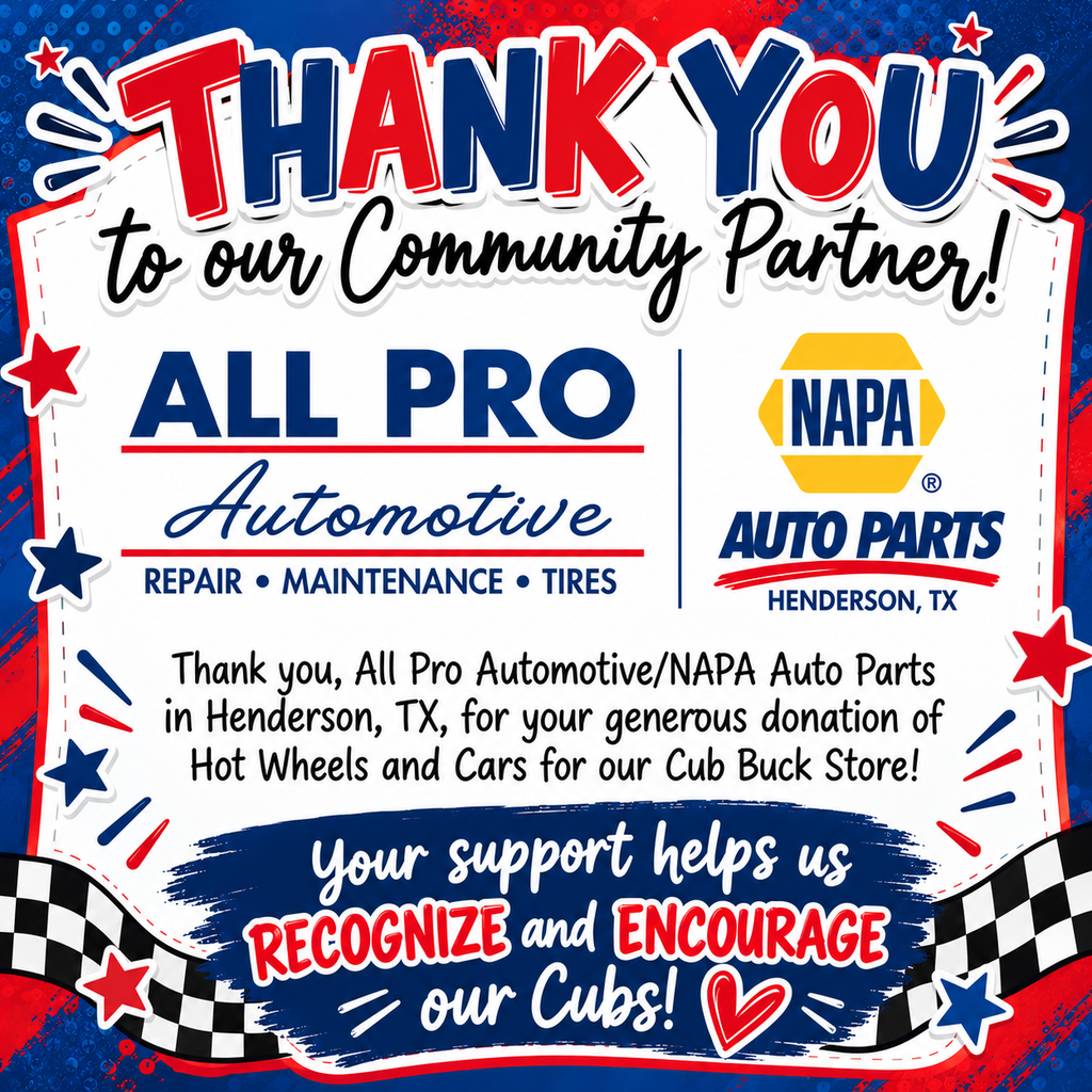 All Pro Automotive