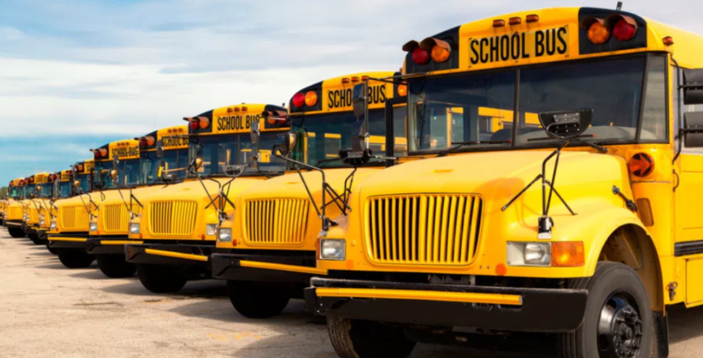 School bus line up