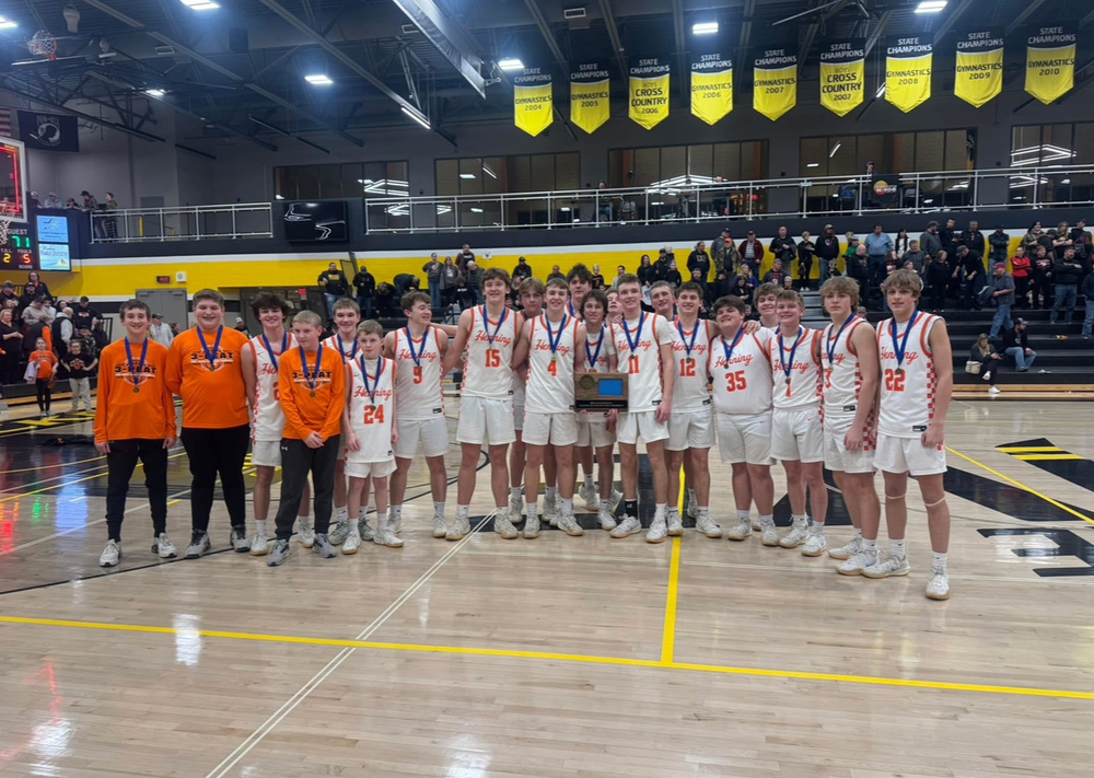 Henning Hornets-Boys Basketball Sub-Section Championship